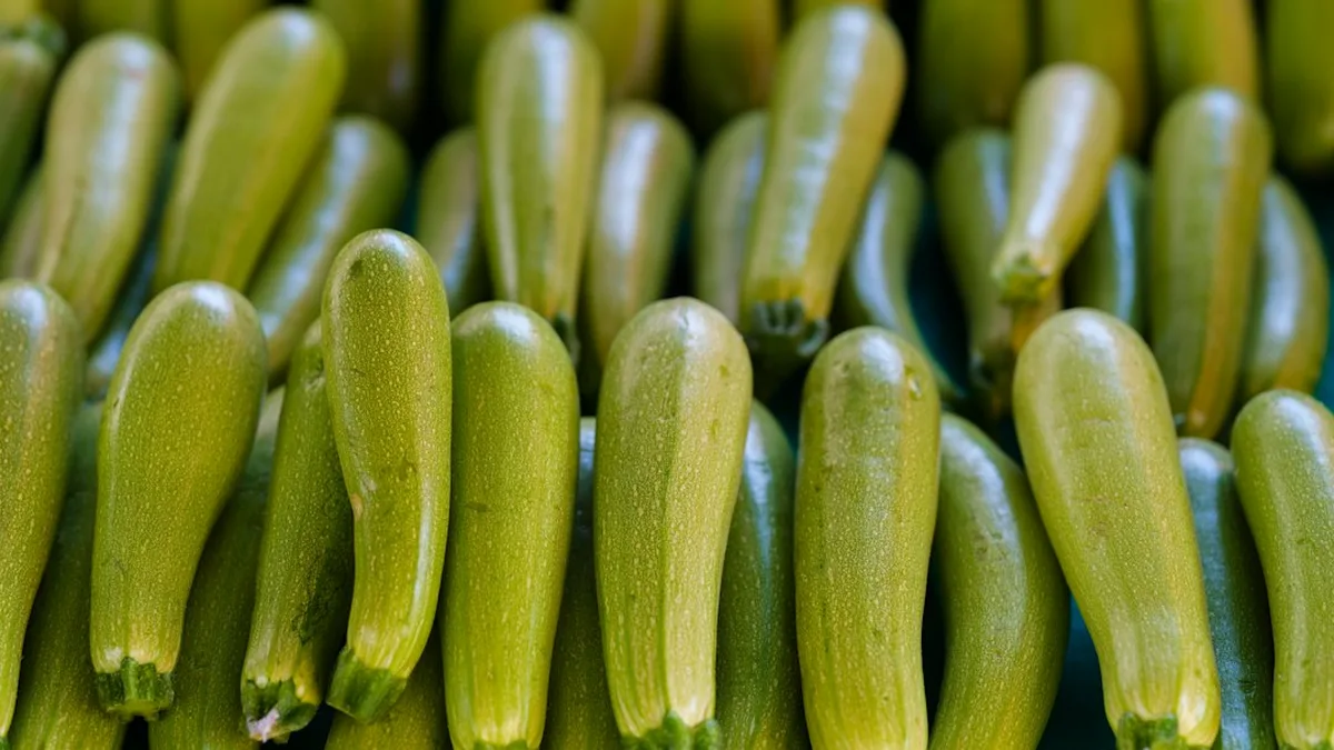 Courgettes recettes rapides