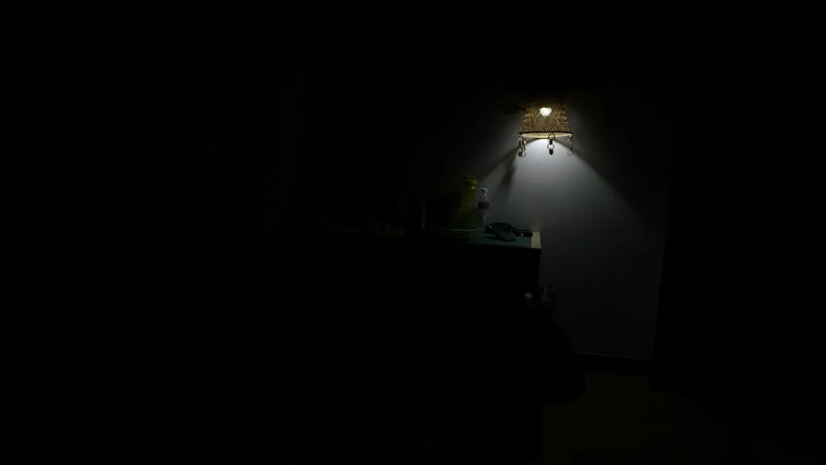 Peu de lumière : plante pièce sombre