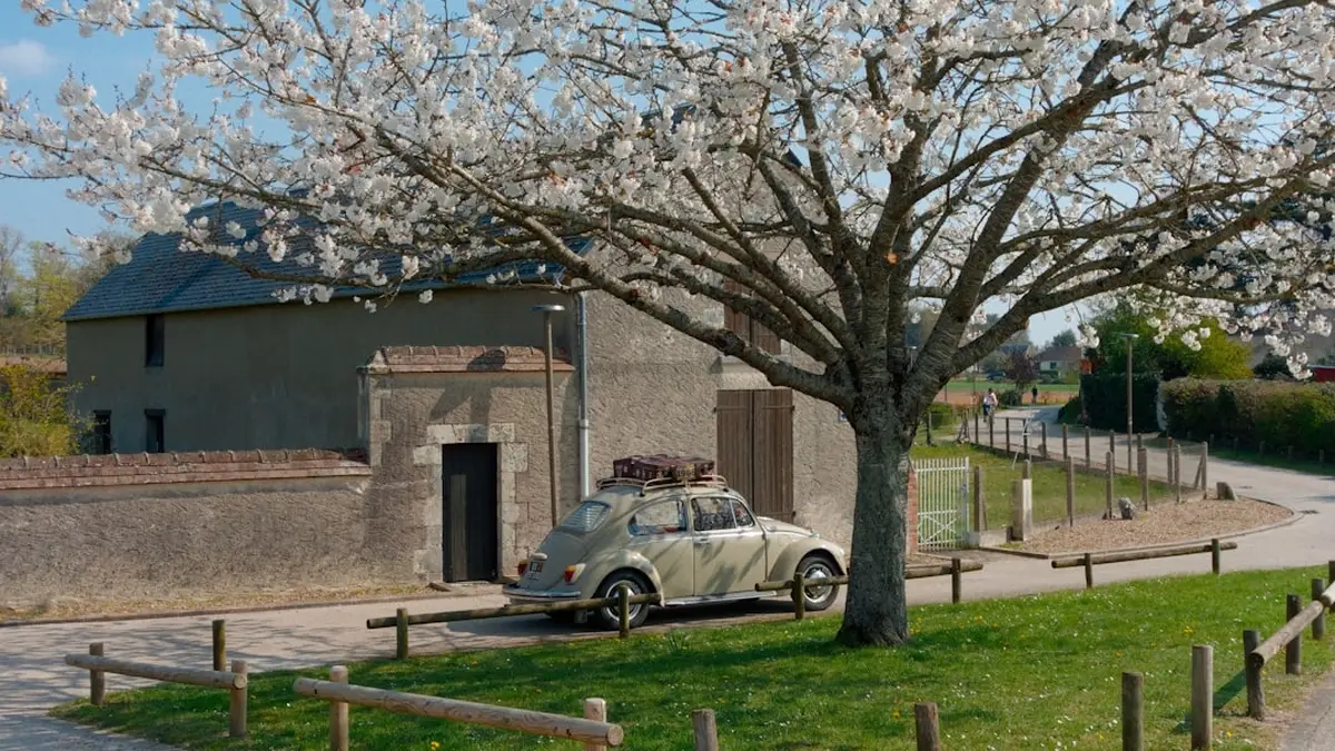 Road trip en France : itinéraires et budget réaliste